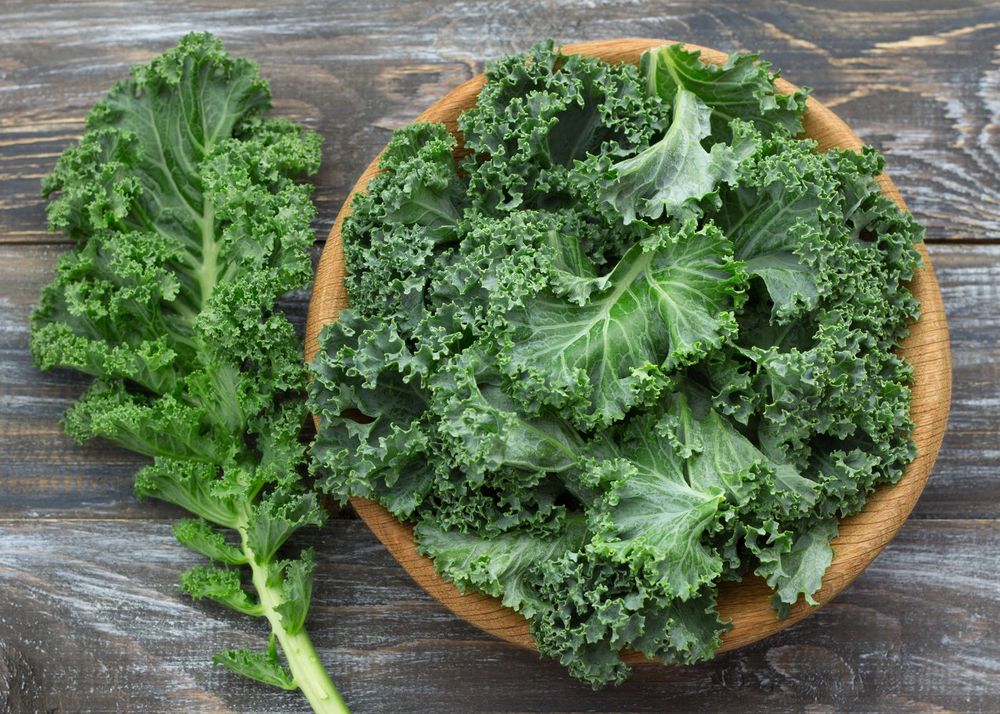 The Curious Life of Food Trends and Why They Keep Coming Back