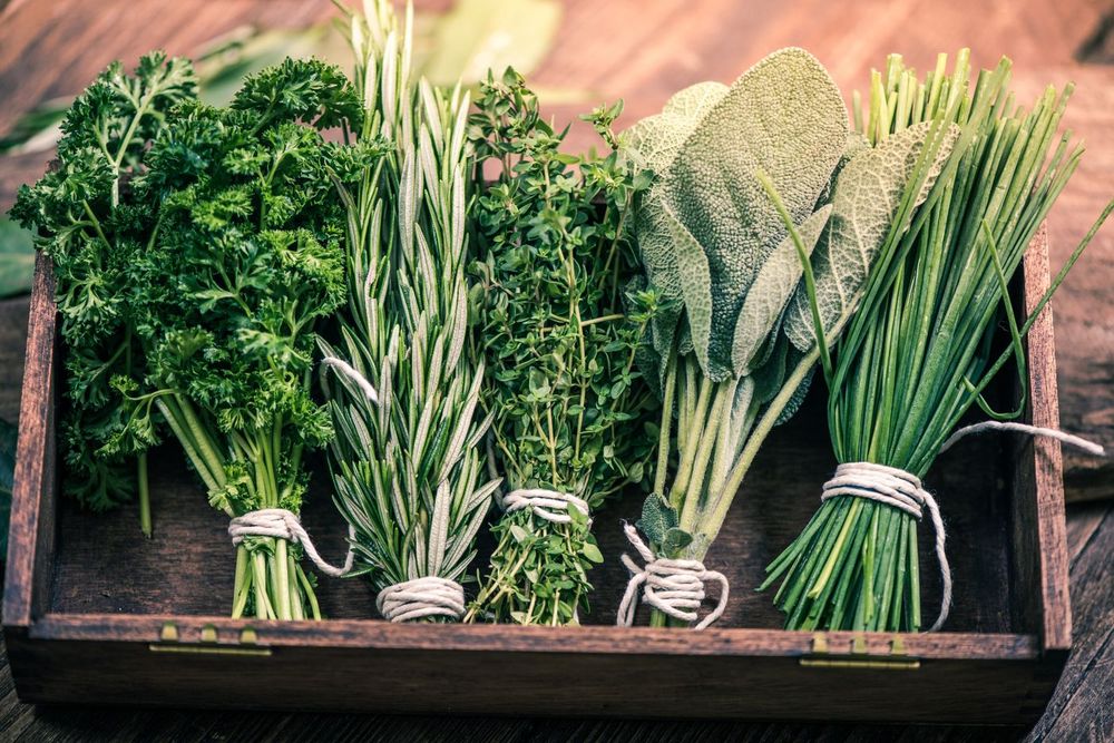 The Herb Garden That Changes How You Cook