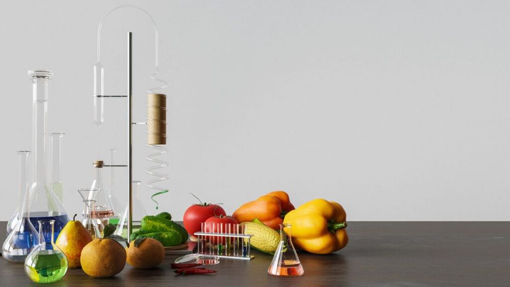 The Food Scientist’s Guide to a Better Home Kitchen