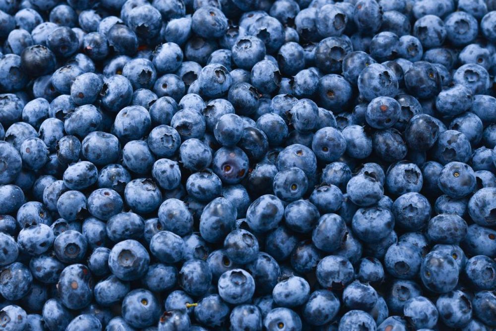 Publix Is Recalling Frozen Blueberries in 8 States After 12 Confirmed E. Coli Cases