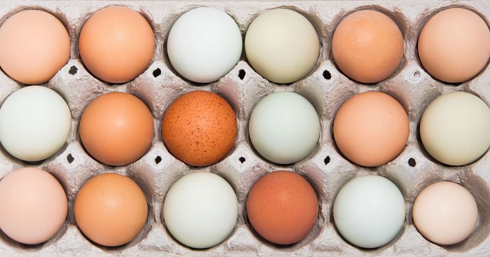 The Art of Eating Well on Almost Nothing